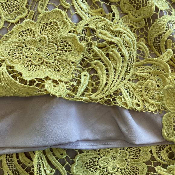 NWT Dress the Population Canary Tan Ava Lace Mini Dress V-Neck Women's Small - Picture 14 of 16